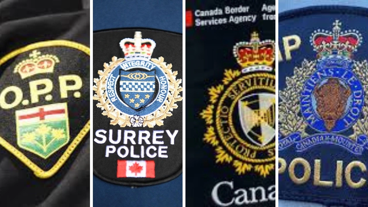 Law Enforcement Interview