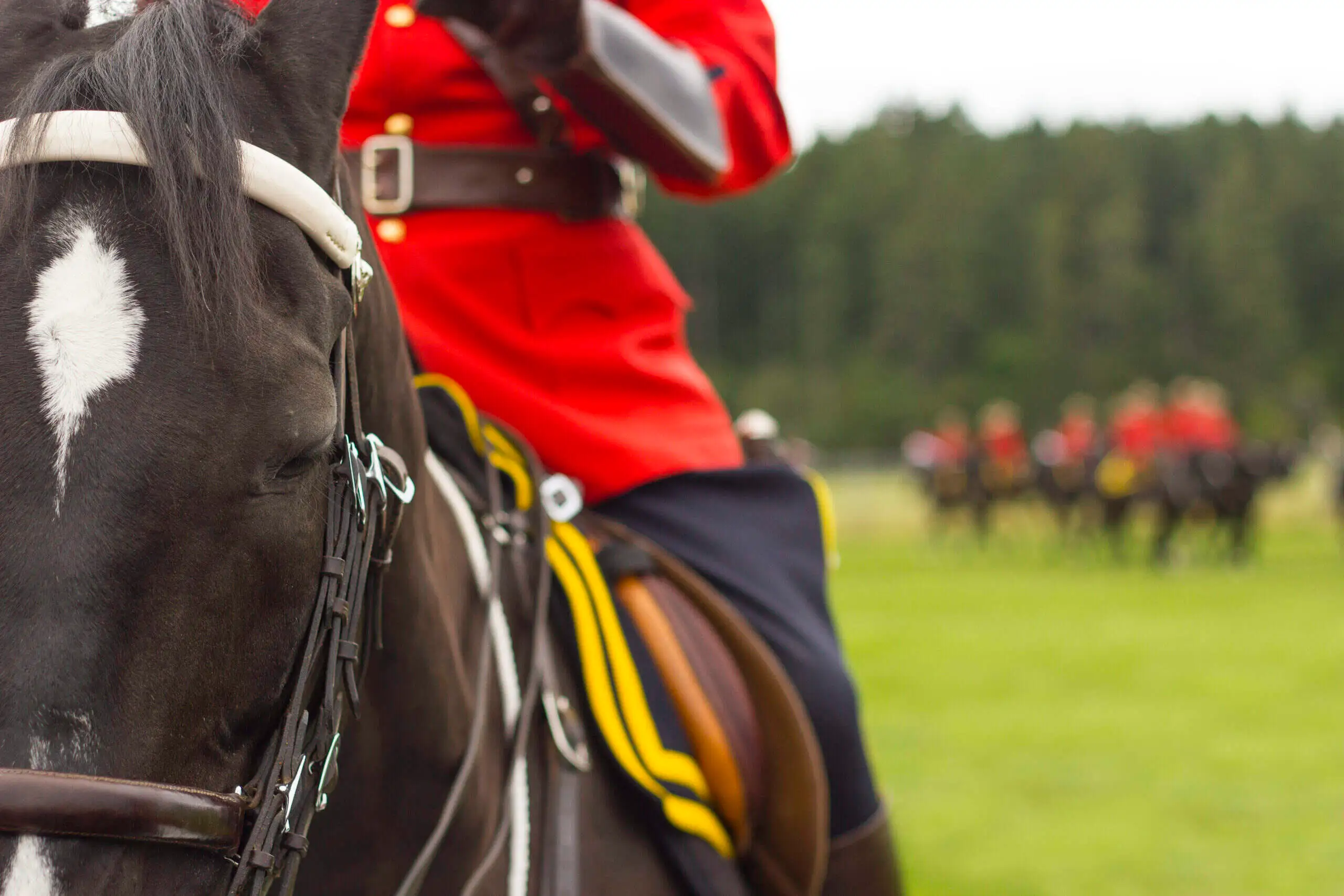 rcmp-attributes-evaluation-interview-AEI