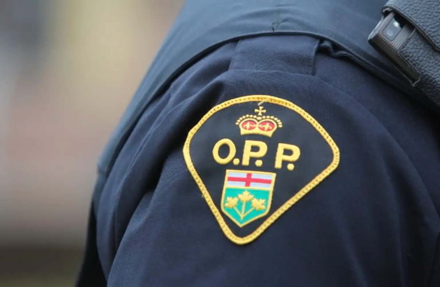 OPP-Local-Focus-Interview